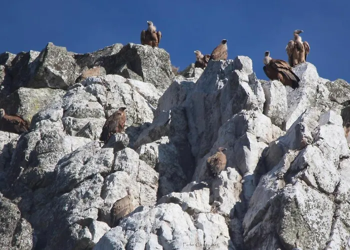 Sierra De Monfrague Appartement Torrejón el Rubio